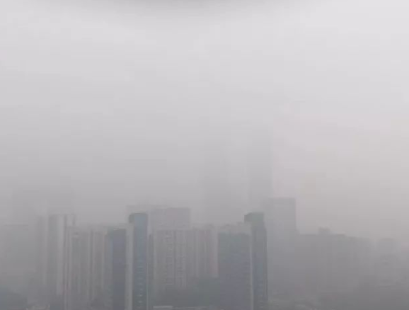 环境影响评价 环境影响评价
